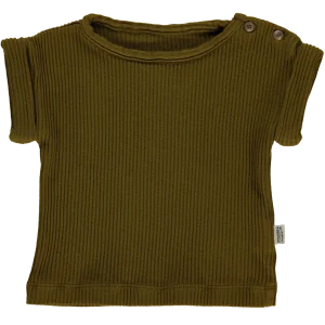 T-SHIRT BOURRACHE CÔTELÉ Fir Green