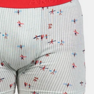 Boxer - Surfeurs