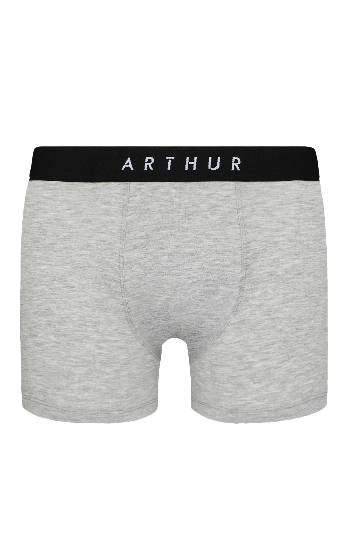 Boxer Gris - Tradi – Image 4